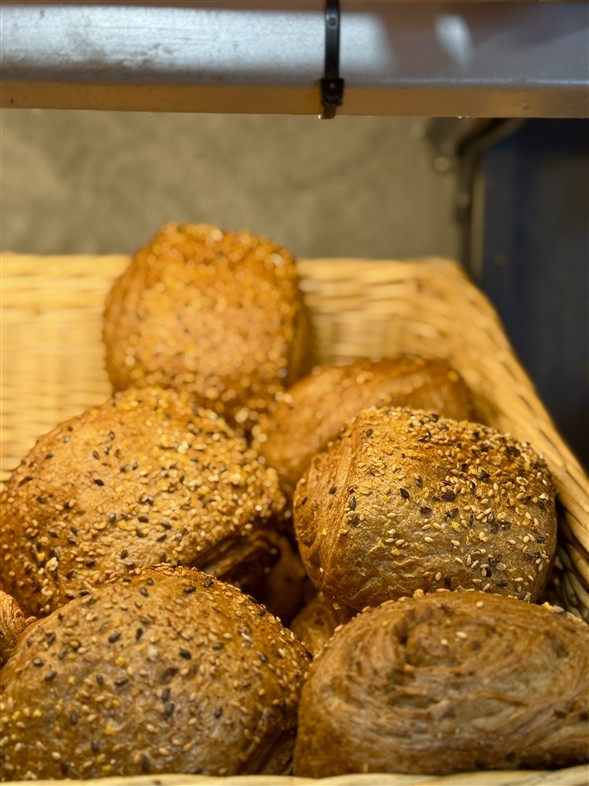 Grovbirkes
